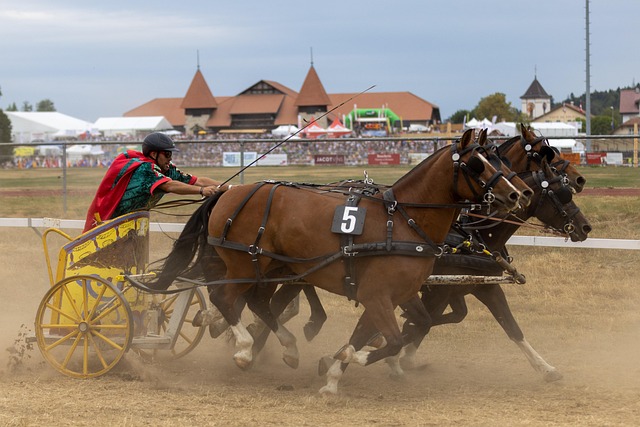 他球队相信 他球队相信